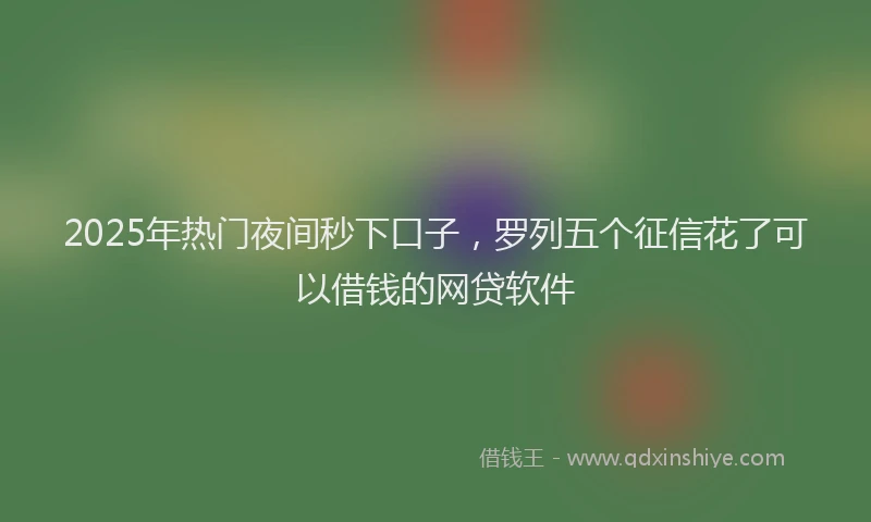 2025年热门夜间秒下口子，罗列五个征信花了可以借钱的网贷软件
