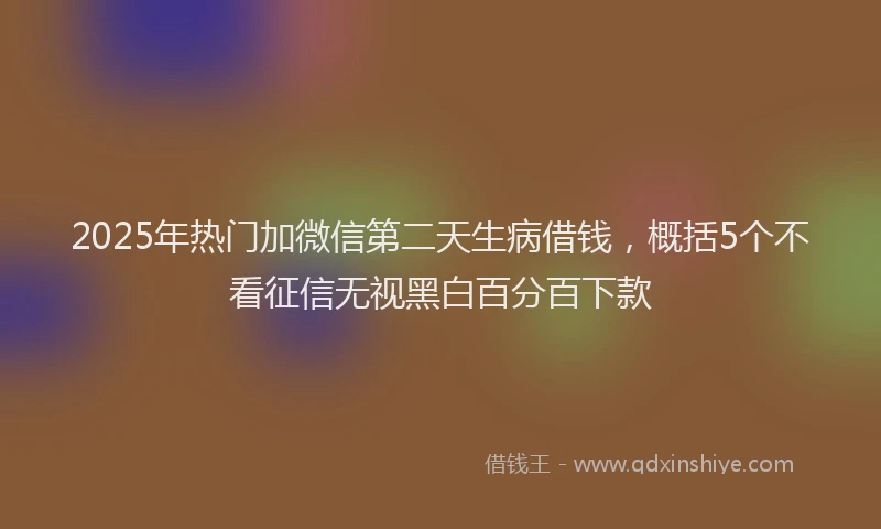 2025年热门加微信第二天生病借钱，概括5个不看征信无视黑白百分百下款