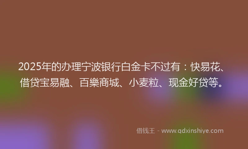 2025年的办理宁波银行白金卡不过有：快易花、借贷宝易融、百樂商城、小麦粒、现金好贷等。