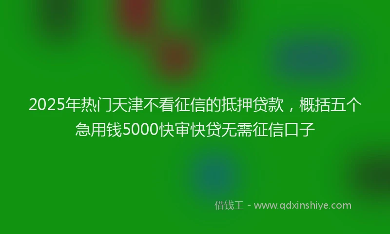 2025年热门天津不看征信的抵押贷款，概括五个急用钱5000快审快贷无需征信口子