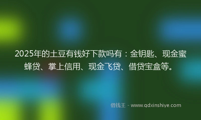 2025年的土豆有钱好下款吗有：金钥匙、现金蜜蜂贷、掌上信用、现金飞贷、借贷宝盒等。