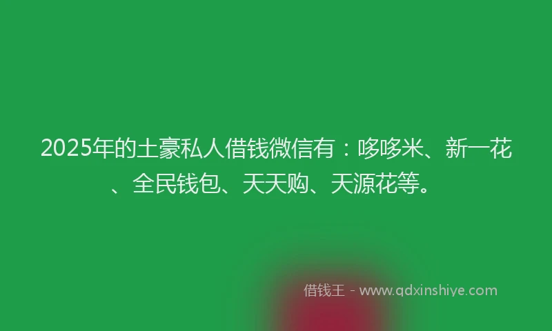 2025年的土豪私人借钱微信有：哆哆米、新一花、全民钱包、天天购、天源花等。