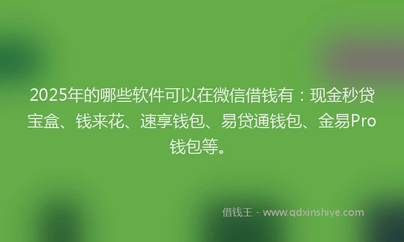 2025年的哪些软件可以在微信借钱有：现金秒贷宝盒、钱来花、速享钱包、易贷通钱包、金易Pro钱包等。