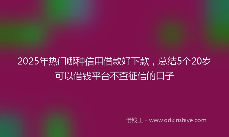 2025年热门哪种信用借款好下款，总结5个20岁可以借钱平台不查征信的口子