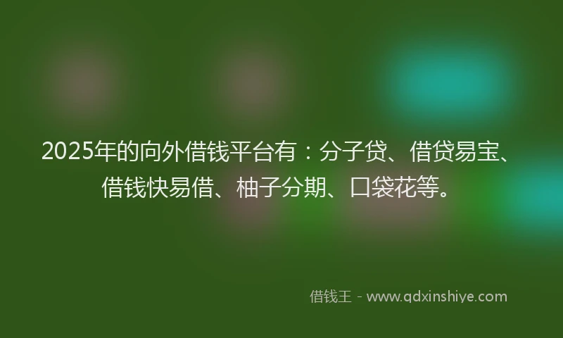 2025年的向外借钱平台有：分子贷、借贷易宝、借钱快易借、柚子分期、口袋花等。