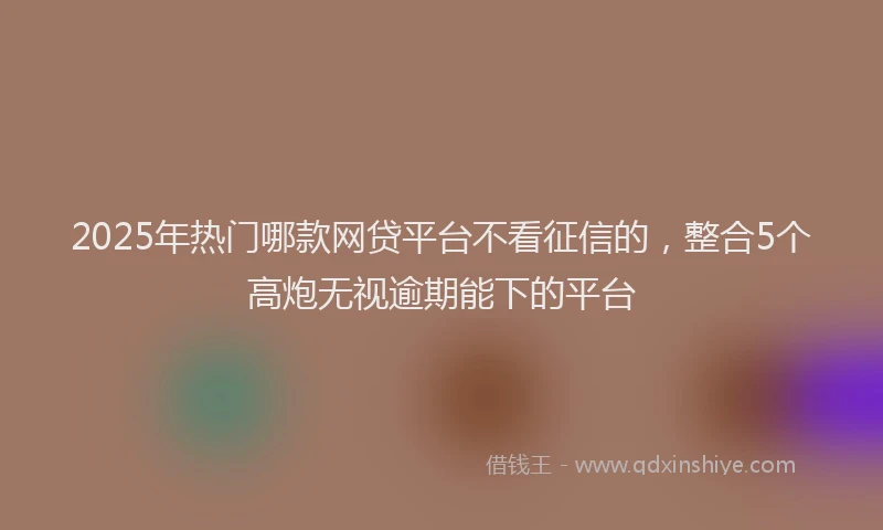 2025年热门哪款网贷平台不看征信的，整合5个高炮无视逾期能下的平台