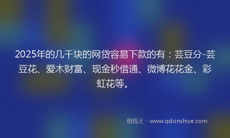 2025年的几千块的网贷容易下款的有：芸豆分-芸豆花、爱木财富、现金秒借通、微博花花金、彩虹花等。