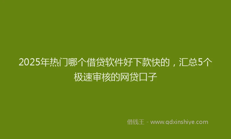 2025年热门哪个借贷软件好下款快的，汇总5个极速审核的网贷口子