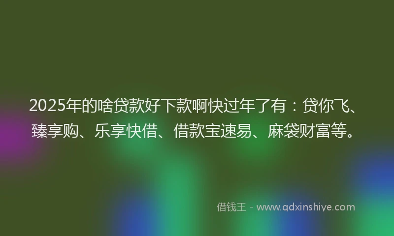 2025年的啥贷款好下款啊快过年了有：贷你飞、臻享购、乐享快借、借款宝速易、麻袋财富等。