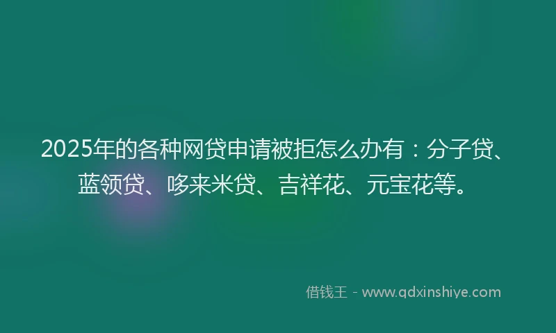 2025年的各种网贷申请被拒怎么办有：分子贷、蓝领贷、哆来米贷、吉祥花、元宝花等。