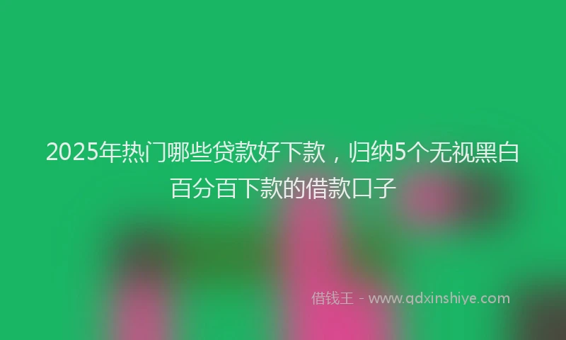2025年热门哪些贷款好下款，归纳5个无视黑白百分百下款的借款口子
