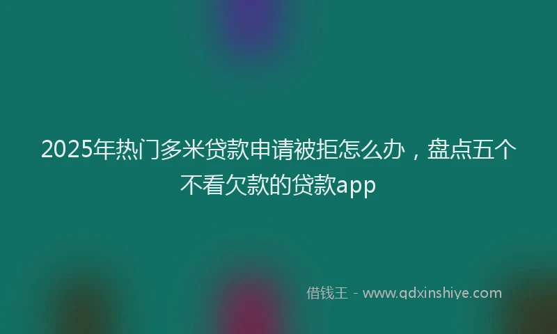 2025年热门多米贷款申请被拒怎么办，盘点五个不看欠款的贷款app