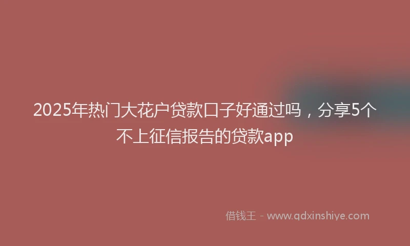 2025年热门大花户贷款口子好通过吗，分享5个不上征信报告的贷款app