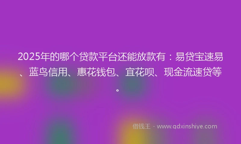 2025年的哪个贷款平台还能放款有：易贷宝速易、蓝鸟信用、惠花钱包、宜花呗、现金流速贷等。