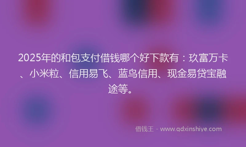 2025年的和包支付借钱哪个好下款有：玖富万卡、小米粒、信用易飞、蓝鸟信用、现金易贷宝融途等。