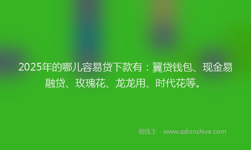 2025年的哪儿容易贷下款有：翼贷钱包、现金易融贷、玫瑰花、龙龙用、时代花等。