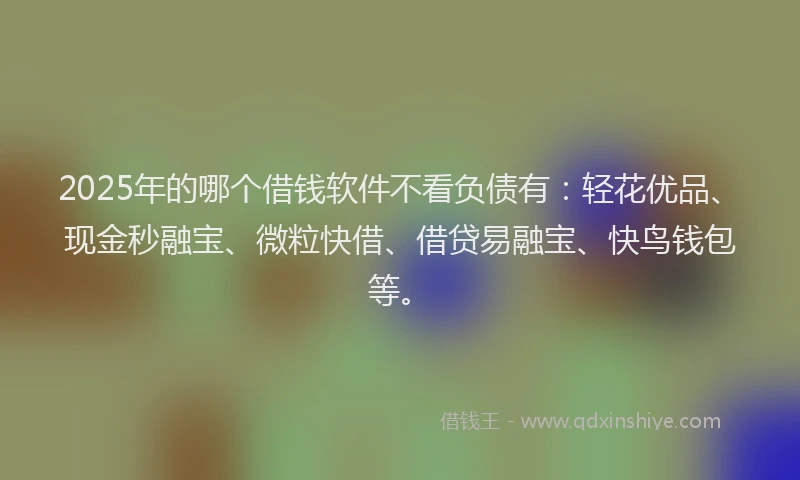 2025年的哪个借钱软件不看负债有：轻花优品、现金秒融宝、微粒快借、借贷易融宝、快鸟钱包等。