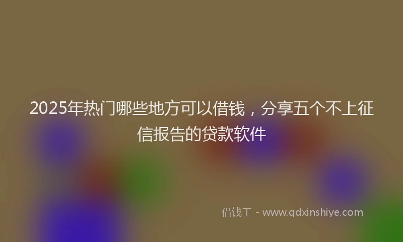 2025年热门哪些地方可以借钱，分享五个不上征信报告的贷款软件
