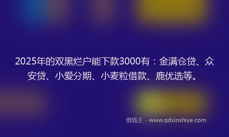 2025年的双黑烂户能下款3000有：金满仓贷、众安贷、小爱分期、小麦粒借款、鹿优选等。
