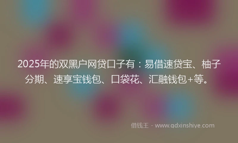2025年的双黑户网贷口子有：易借速贷宝、柚子分期、速享宝钱包、口袋花、汇融钱包+等。