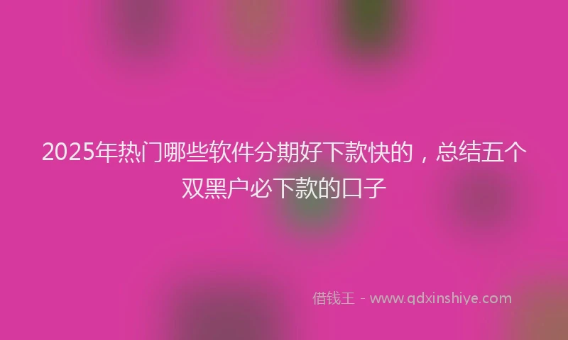 2025年热门哪些软件分期好下款快的，总结五个双黑户必下款的口子