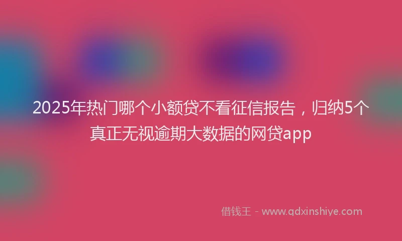 2025年热门哪个小额贷不看征信报告，归纳5个真正无视逾期大数据的网贷app