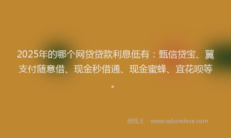 2025年的哪个网贷贷款利息低有：甄信贷宝、翼支付随意借、现金秒借通、现金蜜蜂、宜花呗等。