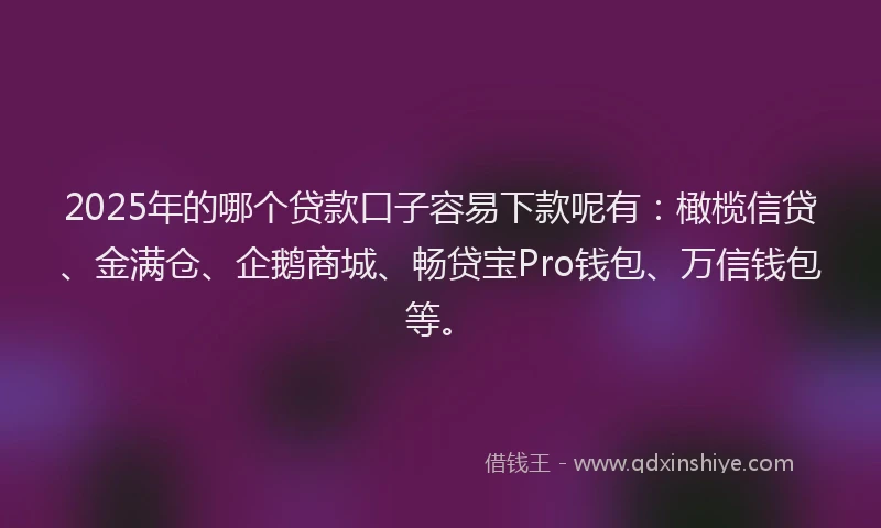 2025年的哪个贷款口子容易下款呢有：橄榄信贷、金满仓、企鹅商城、畅贷宝Pro钱包、万信钱包等。