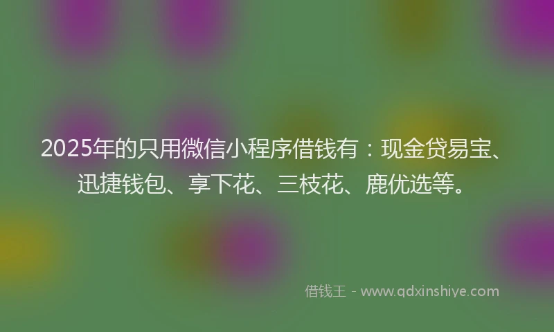 2025年的只用微信小程序借钱有：现金贷易宝、迅捷钱包、享下花、三枝花、鹿优选等。