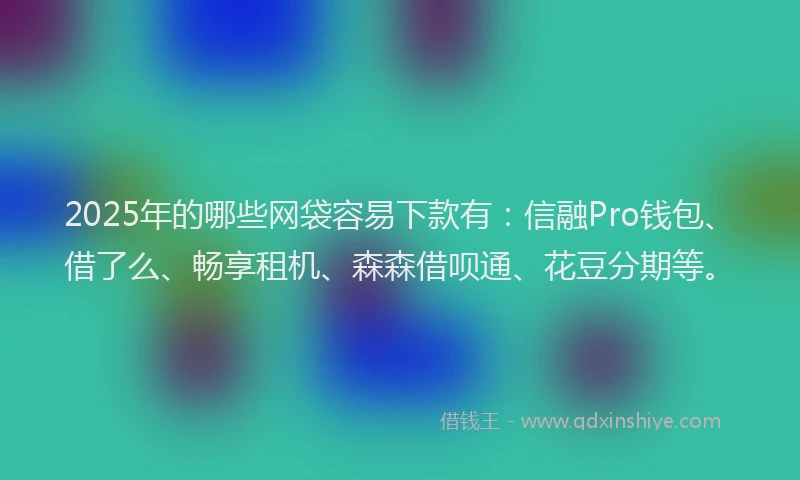 2025年的哪些网袋容易下款有：信融Pro钱包、借了么、畅享租机、森森借呗通、花豆分期等。