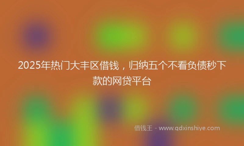 2025年热门大丰区借钱，归纳五个不看负债秒下款的网贷平台
