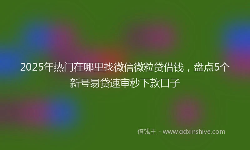 2025年热门在哪里找微信微粒贷借钱，盘点5个新号易贷速审秒下款口子
