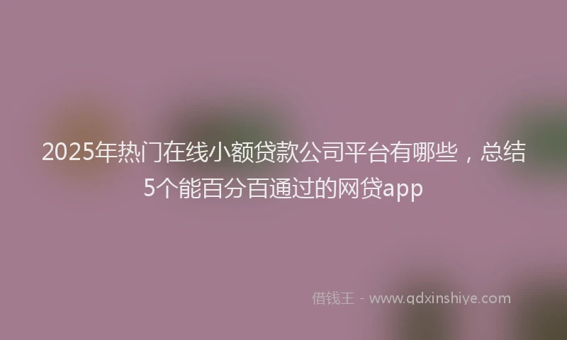 2025年热门在线小额贷款公司平台有哪些，总结5个能百分百通过的网贷app