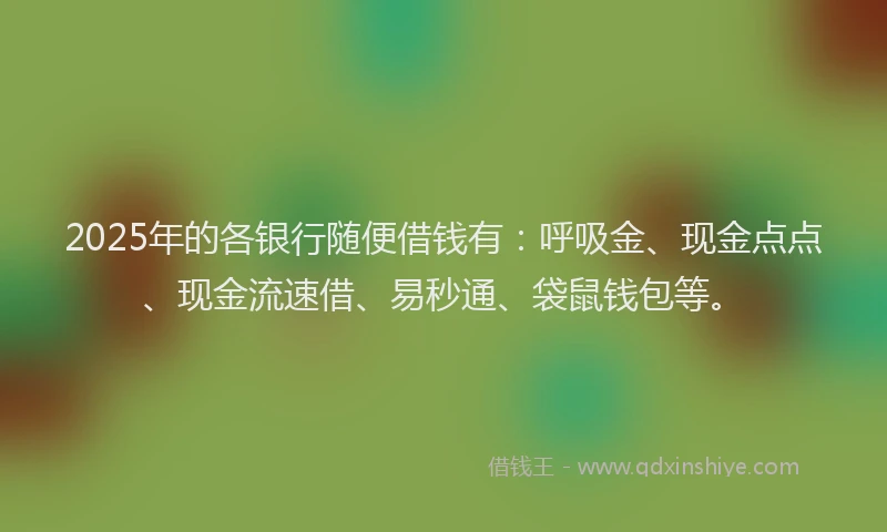 2025年的各银行随便借钱有：呼吸金、现金点点、现金流速借、易秒通、袋鼠钱包等。