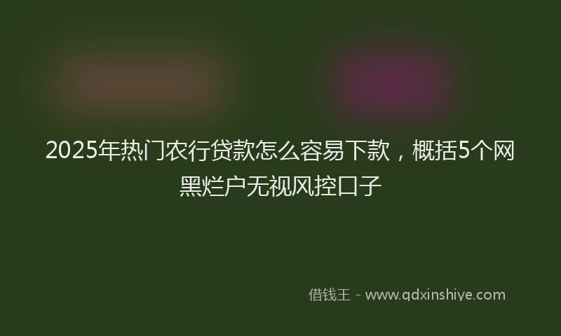 2025年热门农行贷款怎么容易下款，概括5个网黑烂户无视风控口子