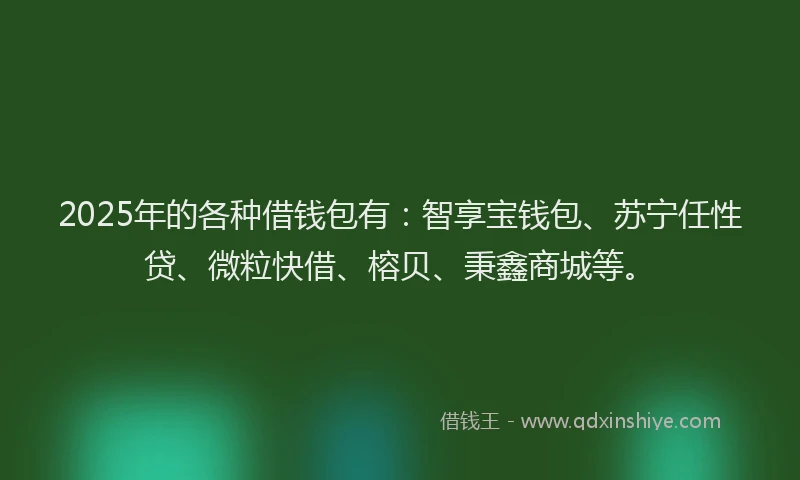 2025年的各种借钱包有:智享宝钱包、苏宁任性贷、微粒快借、榕贝、秉鑫商城等。