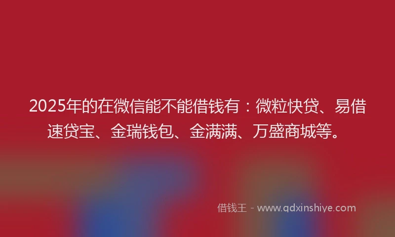 2025年的在微信能不能借钱有：微粒快贷、易借速贷宝、金瑞钱包、金满满、万盛商城等。