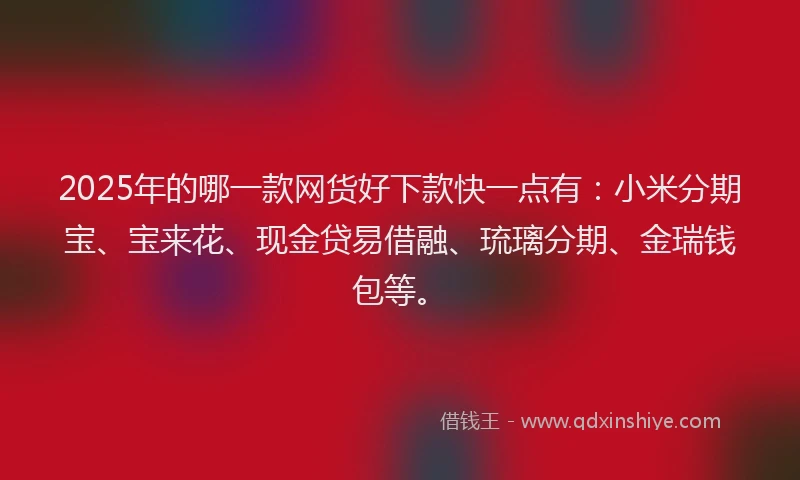 2025年的哪一款网货好下款快一点有：小米分期宝、宝来花、现金贷易借融、琉璃分期、金瑞钱包等。