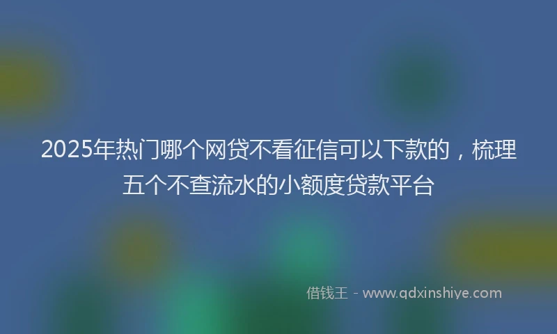 2025年热门哪个网贷不看征信可以下款的，梳理五个不查流水的小额度贷款平台