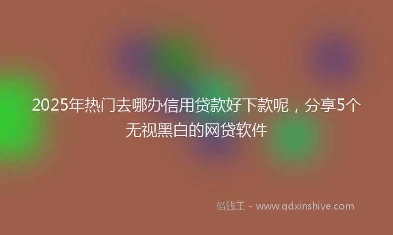 2025年热门去哪办信用贷款好下款呢，分享5个无视黑白的网贷软件
