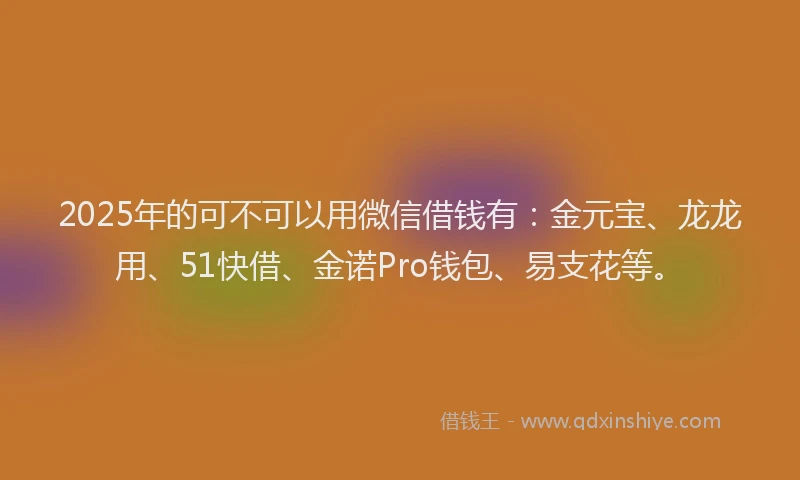 2025年的可不可以用微信借钱有：金元宝、龙龙用、51快借、金诺Pro钱包、易支花等。
