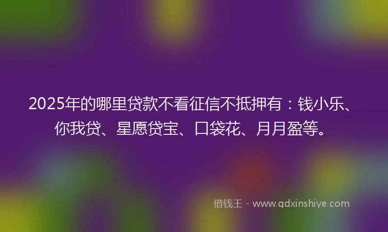 2025年的哪里贷款不看征信不抵押有：钱小乐、你我贷、星愿贷宝、口袋花、月月盈等。