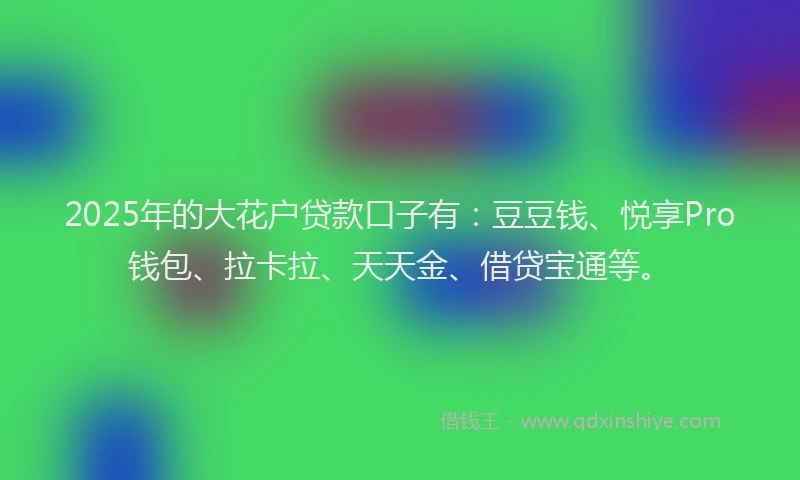 2025年的大花户贷款口子有：豆豆钱、悦享Pro钱包、拉卡拉、天天金、借贷宝通等。