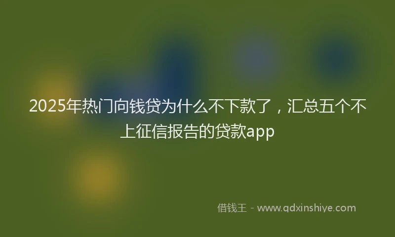 2025年热门向钱贷为什么不下款了，汇总五个不上征信报告的贷款app