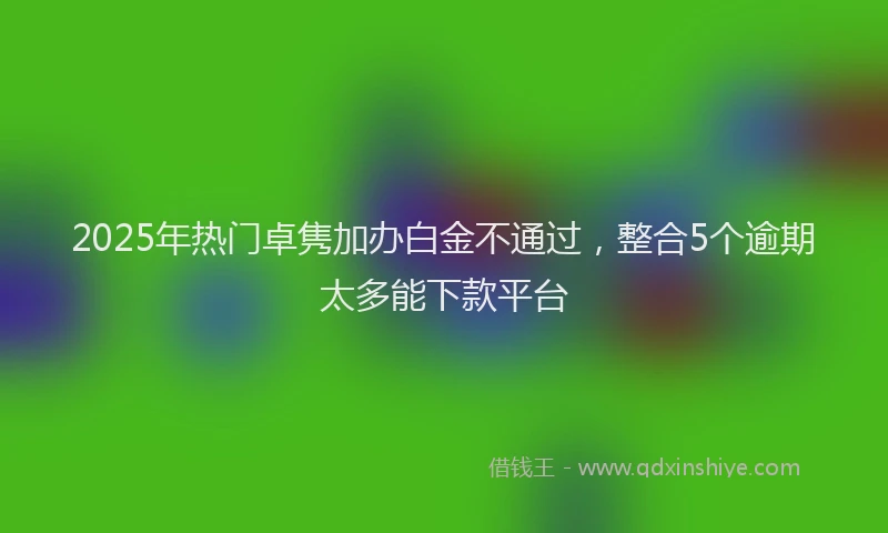 2025年热门卓隽加办白金不通过，整合5个逾期太多能下款平台
