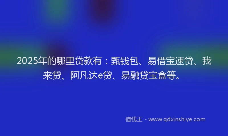2025年的哪里贷款有：甄钱包、易借宝速贷、我来贷、阿凡达e贷、易融贷宝盒等。