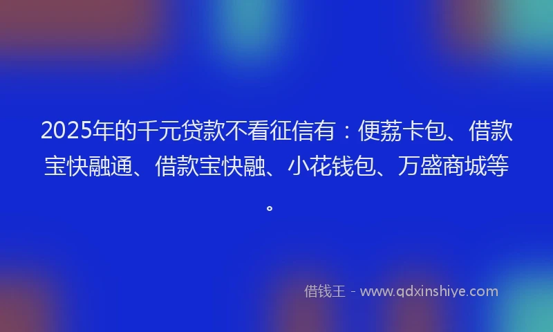 2025年的千元贷款不看征信有：便荔卡包、借款宝快融通、借款宝快融、小花钱包、万盛商城等。
