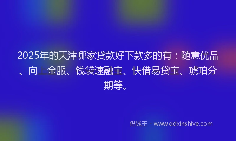 2025年的天津哪家贷款好下款多的有：随意优品、向上金服、钱袋速融宝、快借易贷宝、琥珀分期等。