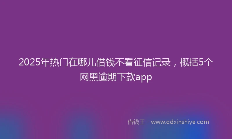 2025年热门在哪儿借钱不看征信记录，概括5个网黑逾期下款app