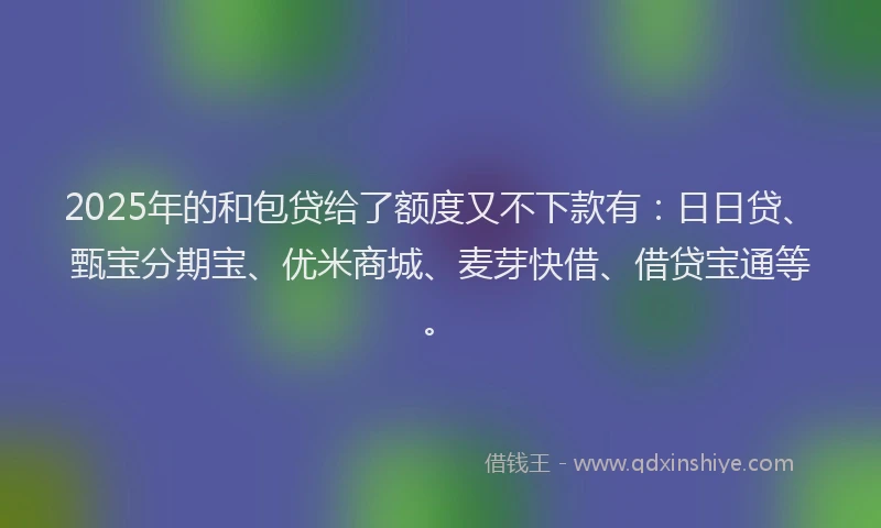 2025年的和包贷给了额度又不下款有：日日贷、甄宝分期宝、优米商城、麦芽快借、借贷宝通等。